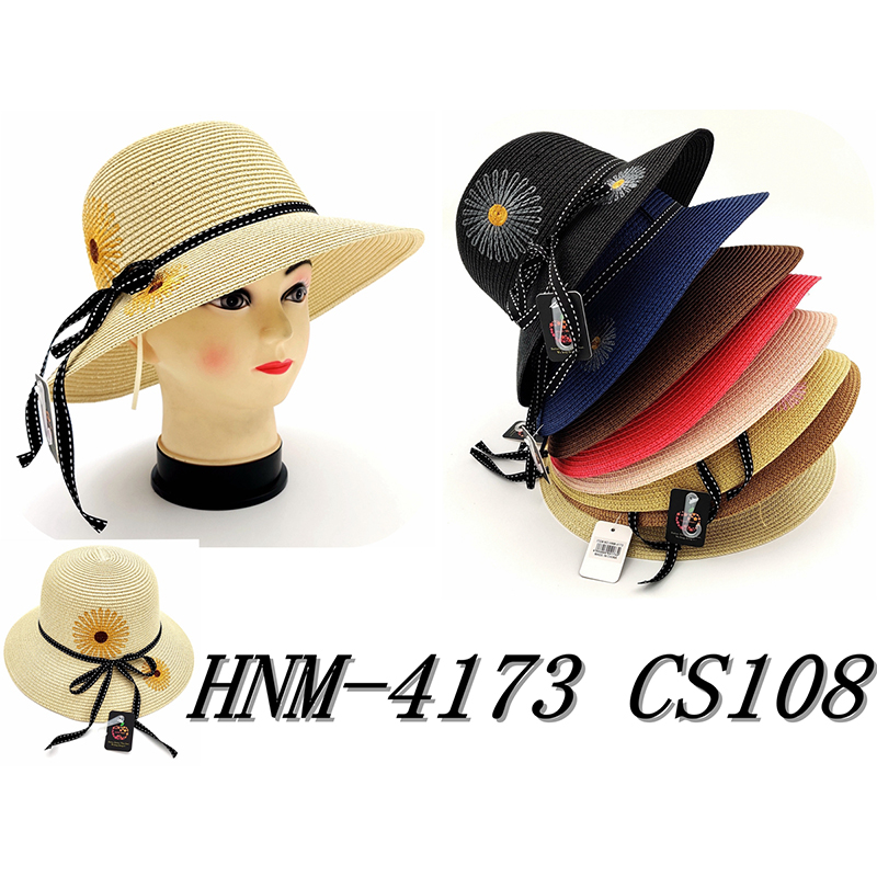 HNM-4173 CS108